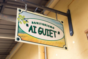 Гостиница Agriturismo Ai Guiet  Турин